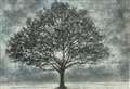 Rooted in the ‘Troubles’