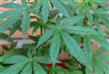 Police say watch out for cannabis factories