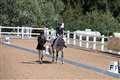 Mary Hare pupils laden with national rosettes