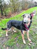 Storm seeks blue skies in new home