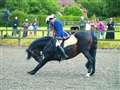 Team GB horserider part of Ashmansworth charity dressage display
