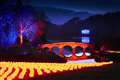 Festive family outing - the light trail at Stourhead
