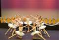  89 young dancers in local ballet school's magical Sleeping Beauty