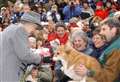 Andrew and Sarah, Duchess of York to take on Queen's corgis 