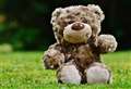 Youngsters invited to bug hunt and teddy bears’ picnic in Newbury gardens