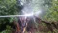 Tree blaze near Newbury FC extinguished