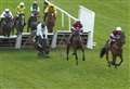 Constitution Hill suffers fall in dramatic Champion Hurdle, as Nicky Henderson claims Arkle win