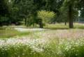 West Berkshire estate “at the forefront” of climate change campaign