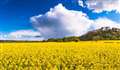 FARM BLOG: Farmers entitled to be scratchy over chemical bans