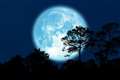 Full Buck Moon this weekend July 4 and 5