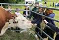 Estate hosts 27th annual Schools Days for Berkshire and North Hampshire children