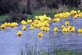 Thatcham Rotary Club duck race fundraiser on the Kennet 