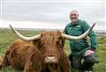 Could feeding cows seaweed cut methane and help fight climate change?