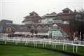Bumper year for Newbury Racecourse