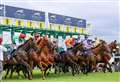 Preview and tips ahead of Saturday’s action at Newbury Racecourse