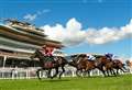 Metal Merchant springs to victory in Flat opener