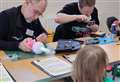 Peacocks. bunnies and more repaired by volunteers in Thatcham