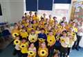 Pupils' flower power for Ukraine aid