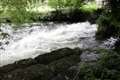 Man tells of dramatic canal rescue