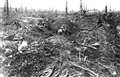 Historians to speak in Newbury on the Battle of the Somme 