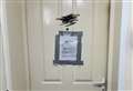 Police get court order to close property