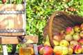 Apple Day to return to Newbury on Saturday