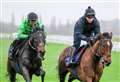 Henderson praises ‘happy’ Constitution Hill, while Gold Cup contenders gallop at Newbury