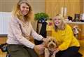 Dog trainer helps save pet owners money