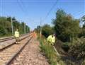 Calcot fire sparked by bird hitting cables