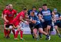 McAvoy rues mistakes as Blues beaten by leaders Jersey