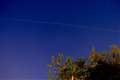 Sunday spectacle: 40 Starlink satellites all in a row passing over the UK
