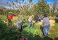 Therapeutic garden opens for mental health 