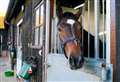 Stud farm applies to build tourism huts and stables on grounds