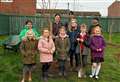 Primary school celebrates eco achievements