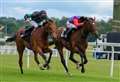 The Queen's horse triumphs at Newbury