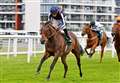 Strong field remain for Weatherbys Super Sprint at Newbury