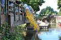 Week in pictures 19th July- 18th July