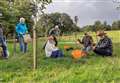 Bulb-planting days at Lockdown Woods