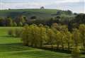 My Newbury: Ladle Hill