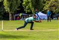 Competitive community cricket match coming to Newbury