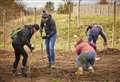 Tiny Forest a first for NHS
