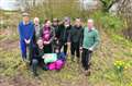 Insect 'hotels' to open at Kingsclere community project
