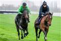 Nicky Henderson confirms Constitution Hill’s next appearance