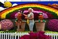 Experts hail power of gardening as Chelsea Flower Show goes online