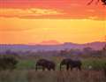 African heat
