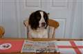 See who Tilly thinks will win England vs Tunisia World Cup clash