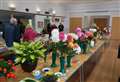 Enter the East Woodhay Flower & Produce Show