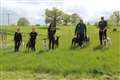 'Sighthounds' seek a slower pace of life