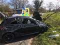 Giant bug causes car crash along Long Lane, Hermitage