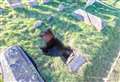 Cemetery still closed after grave collapses